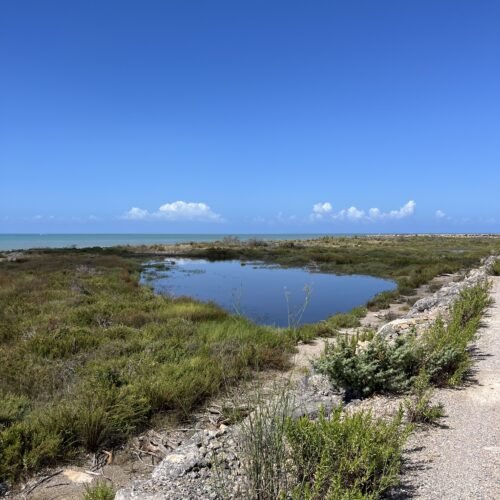 Bocca d'Ombrone in Gravel | Itinerario A7 nel Parco della Maremma