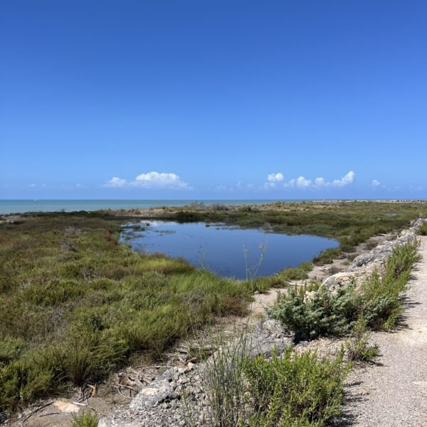 Bocca d'Ombrone in Gravel | Itinerario A7 nel Parco della Maremma