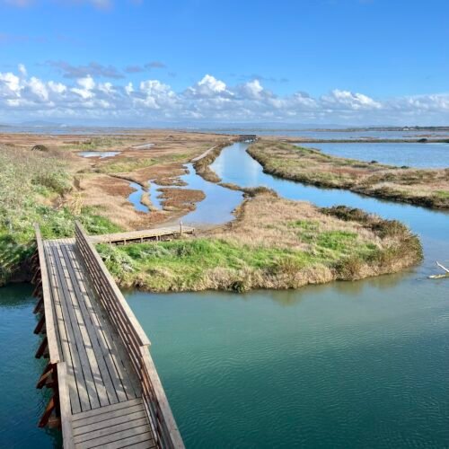 Anello della Diaccia Botrona | Traccia GPX | LAVIA Anello della Diaccia Botrona | Traccia GPX | LAVIA