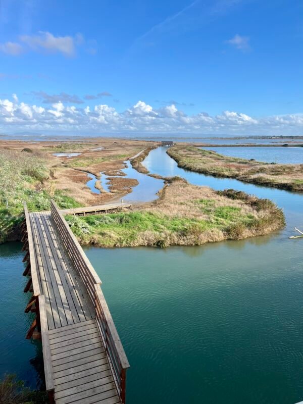 Anello della Diaccia Botrona | Traccia GPX | LAVIA