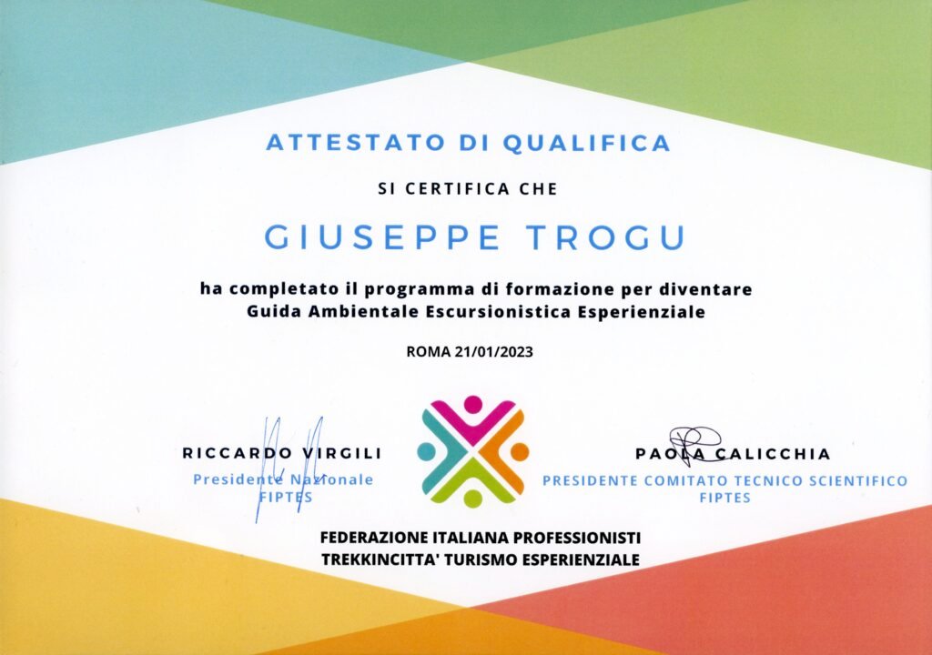 Attestato Giuseppe Trogu