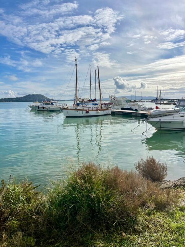 IMG_0394 Dogwalking nella Baia di Talamone