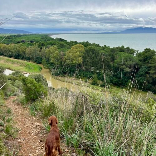 Escursione nella Baia di Talamone Escursione nella Baia di Talamone