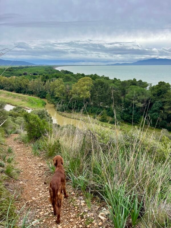 Escursione nella Baia di Talamone Escursione nella Baia di Talamone