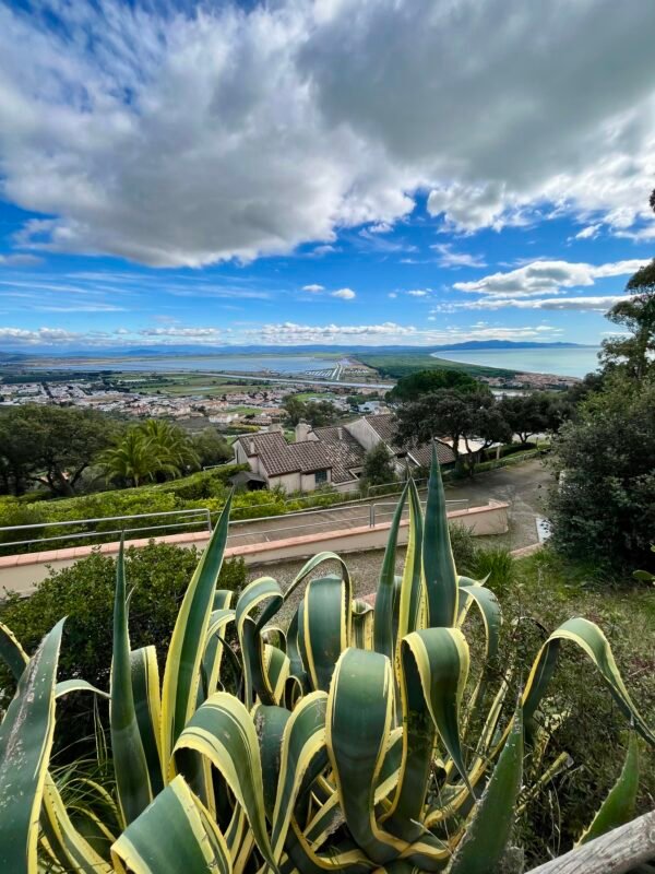 Anello di Poggio Petriccio - Castiglione della Pescaia | Traccia GPX | LAVIA