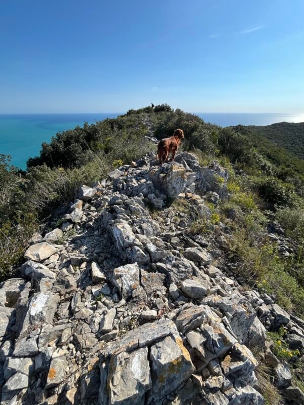 Escursione ad anello sul Monte Argentario